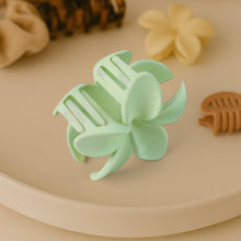 Matte Finish Hair Claw Clip (1 Pc / Mix Color)